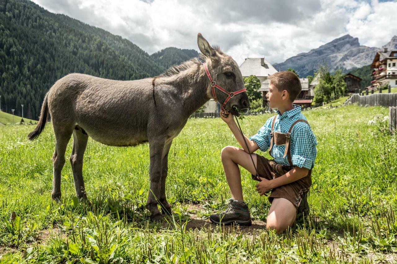 Natur Luch Sossach La Villa  Exteriör bild