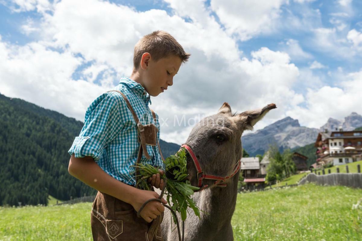 Natur Luch Sossach La Villa  Exteriör bild